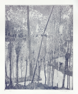 paesaggio fluviale con alberi Galli, Federica