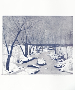 paesaggio fluviale invernale Galli, Federica