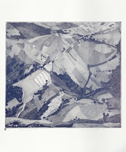 paesaggio rurale Galli, Federica