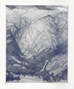 paesaggio montano Galli, Federica