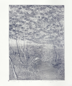 sentiero tra gli alberi Galli, Federica