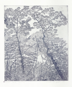 paesaggio con alberi Galli, Federica