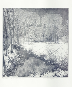 paesaggio fluviale invernale Galli, Federica