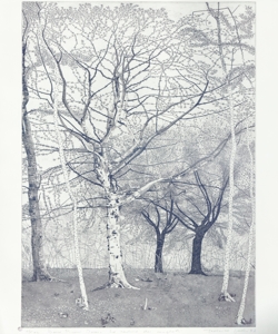 alberi Galli, Federica