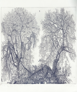 foglie Galli, Federica