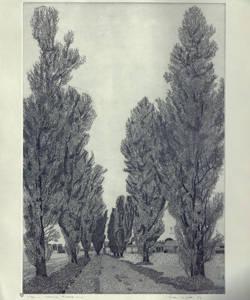 paesaggio rurale con viale alberato Galli, Federica