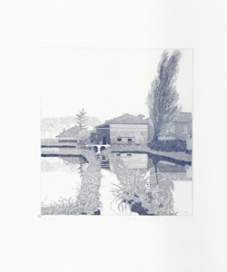 paesaggio rurale con risaie e architetture Galli, Federica