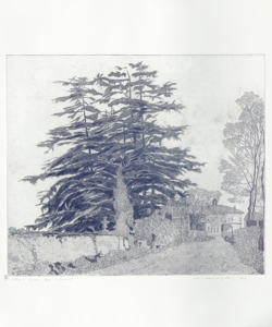 paesaggio con alberi e abitazioni Galli, Federica