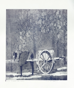 cavallo con carro Galli, Federica