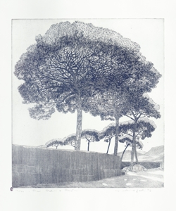 paesaggio con alberi Galli, Federica