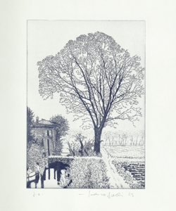 paesaggio con alberi ed edificio Galli, Federica