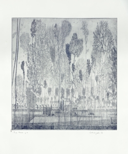 paesaggio con alberi Galli, Federica