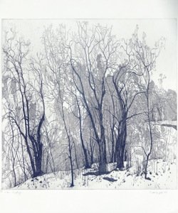 paesaggio con alberi Galli, Federica