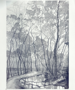 paesaggio fluviale con alberi Galli, Federica