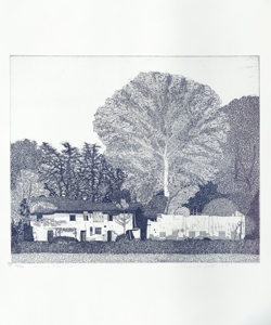 veduta della Cascina Forestina a Riazzolo Galli, Federica