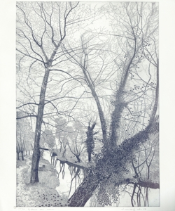 paesaggio fluviale Galli, Federica