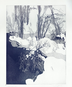 paesaggio fluviale invernale Galli, Federica