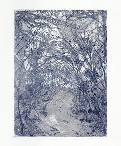 sentiero con alberi Galli, Federica