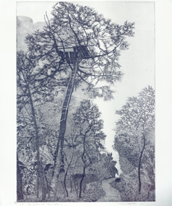 sentiero con alberi e appostamento di caccia sull'albero in primo piano Galli, Federica
