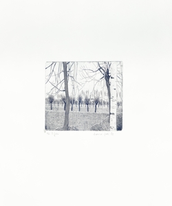 paesaggio con alberi Galli, Federica