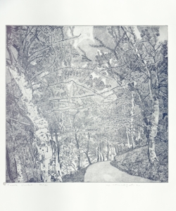 bosco con sentiero Galli, Federica