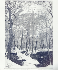 bosco Pisani Dossi innevato Galli, Federica