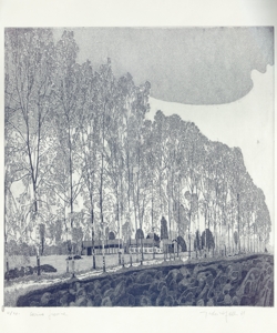 veduta della cascina Grassina a Milano Galli, Federica