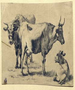 Animali al pascolo 