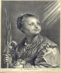 Santa Dorotea Galle, Cornelis il Vecchio