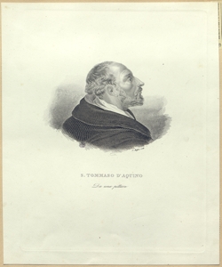 ritratto d'uomo di profilo Maffei, Sperandio