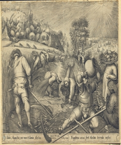 estate e lavori stagionali Cock, Hieronymus