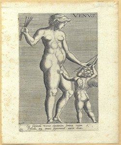 Venere Vos, Marten de