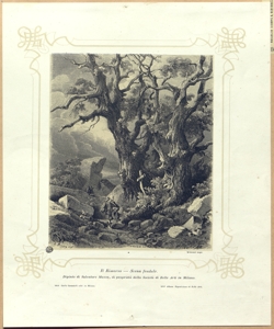 paesaggio con albero Salvioni, Giuseppe