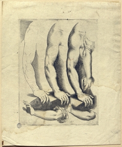 studio per braccia Ciamberlano, Luca