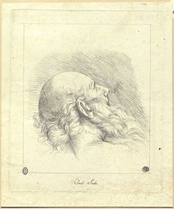 ritratto d'uomo di profilo Sacchi, Andrea