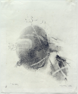 composizione d'invenzione Tognoni, Giancarlo