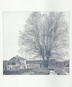 paesaggio rurale con albero ed edifici Galli, Federica