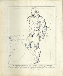 studio di figura maschile Fabbri, Giovanni