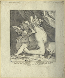 Venere e Cupido Galle, Cornelis il Vecchio