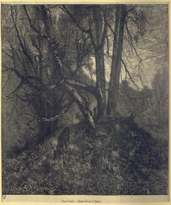 foresta con cervi Comte