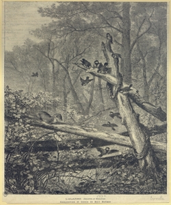 foresta con donnola e uccelli Comte