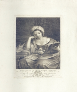 Sibilla Libica Cunego, Domenico