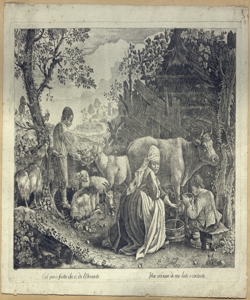 pastori e animali Minola, V.