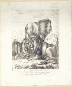 leoni Novelli, Francesco