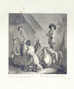 pastori e animali durante la mungitura Pedro, Francesco del