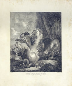 cavallo attaccato da leoni e ghepardo Peiroleri, Pietro