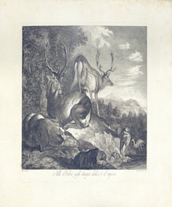 cervi e aironi in riposo Peiroleri, Pietro