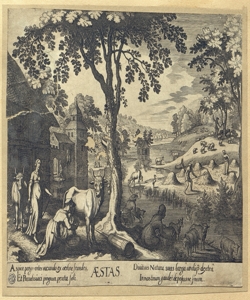 Estate Merian, Matth¿us il Vecchio