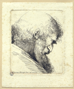 testa d'uomo con barba di profilo Nevay, James