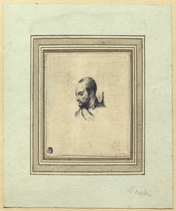 testa d'uomo Novelli, Francesco